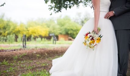 Marisa Belle Photography