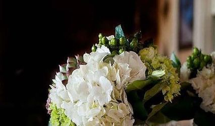 White Pine and Petals