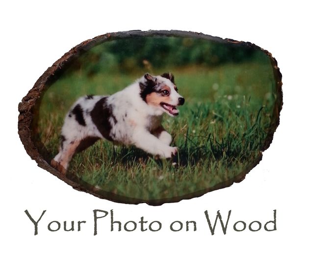 My Wood Photo