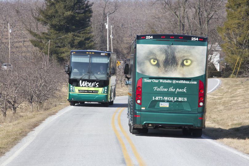 Wolf's Bus Lines