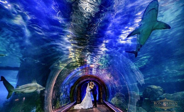 Adventure Aquarium