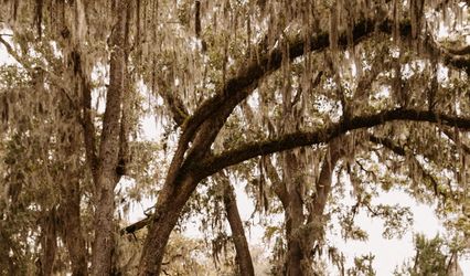 Lyndsey Anne Photography