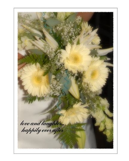 Kindred Reflections Photography Photography Wichita Ks