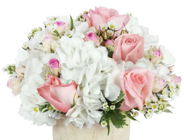 Stargazer Premier Florist