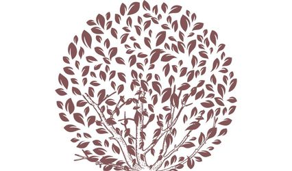 Papertree Studio
