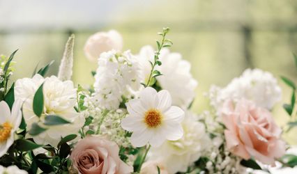 Petals & Press