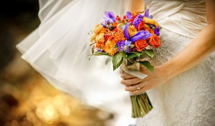 Allure Weddings & Events