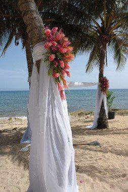 Enchanted Weddings Of Virginia Planning Newport News Va