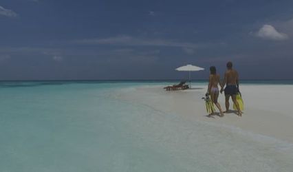 Dream Vacations
