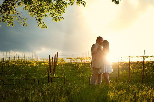 BerryTree Photography