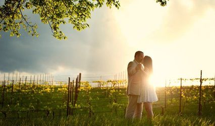 BerryTree Photography