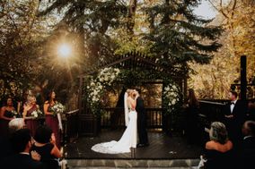 Cecilia Harvard Photography