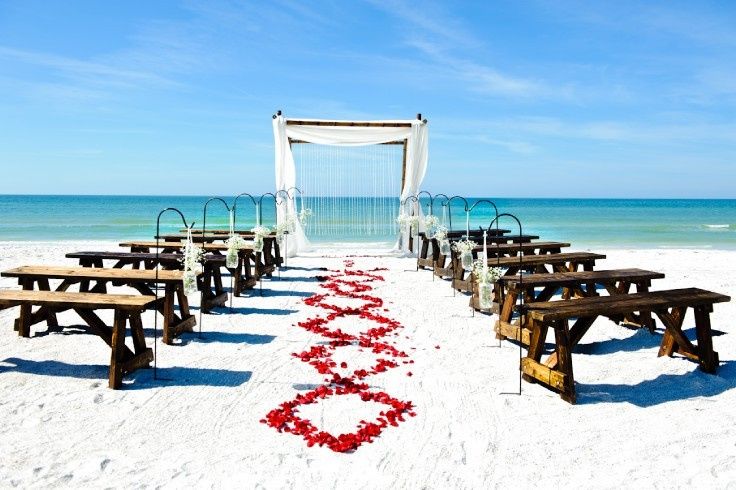 Simple Weddings Planning Saint Petersburg Fl Weddingwire
