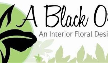 A Black Orchid, Inc.