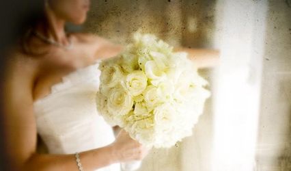 Roots Wedding Films