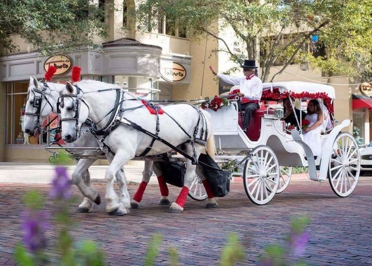 Downtown Horse And Carriage