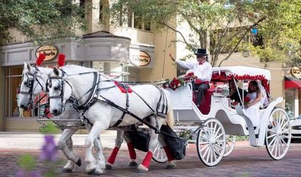 Downtown Horse And Carriage