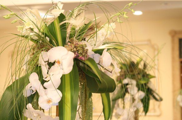 Ruzanna's Flowers