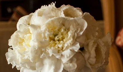 Flowers By Marjan