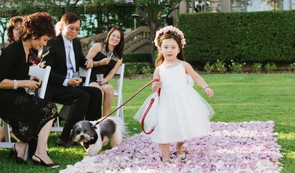 Marriage Vows Eastern Shore Maryland