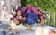 Anita's Petite Fleur Ltd