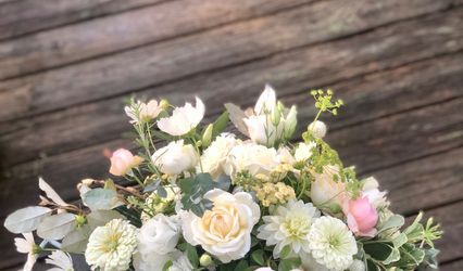 Wimbee Creek Farm, LLC
