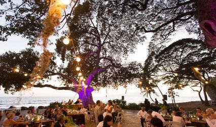Olino Events