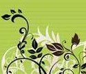 Twig Travel & Events