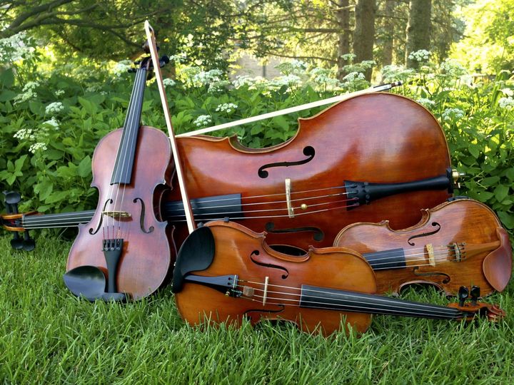 The Delmonico String Quartet