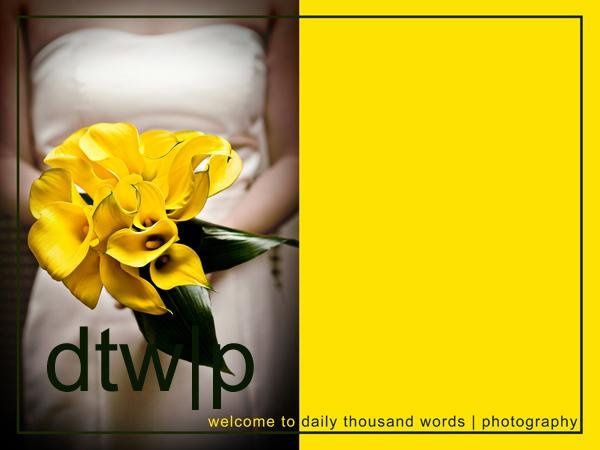 Daily Thousand Words Photography