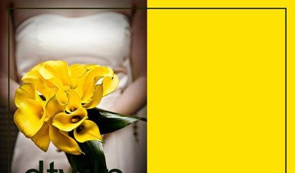 Daily Thousand Words Photography
