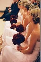 Knot only weddings byjp
