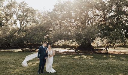 Alicia Horn Weddings