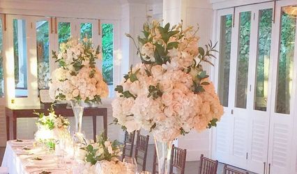 Blooms and Branches