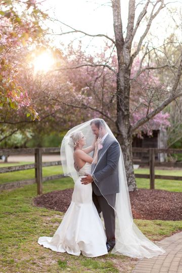 Renee Sprink Photography