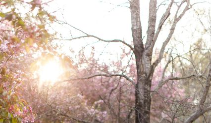 Renee Sprink Photography