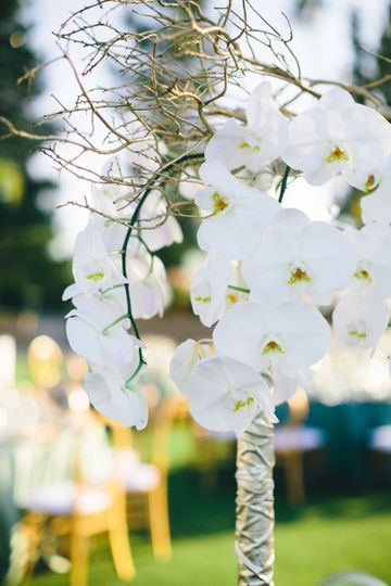 Flower Bar