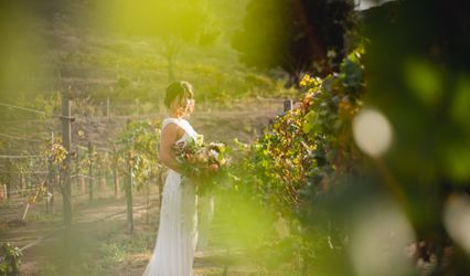 Weddings by Amy Millard