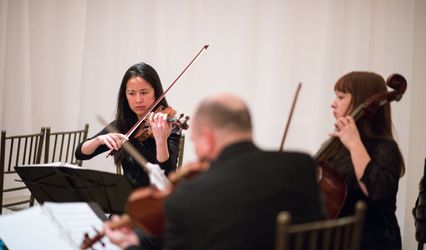 Tribute String Quartet