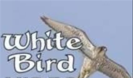 White Bird Video