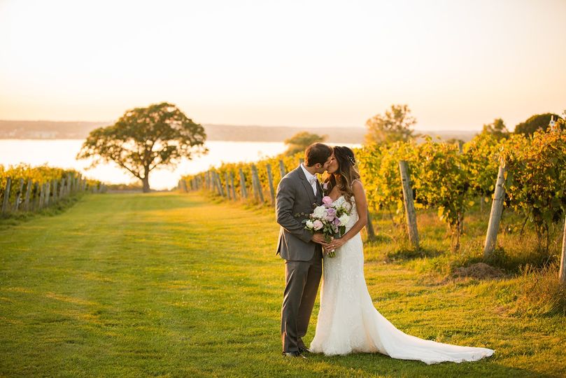 Ventosa Vineyards