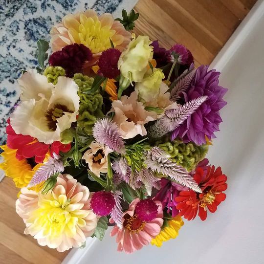 Petals & Plates