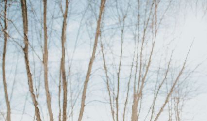 Jessica Newton Photography