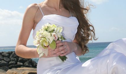 Sanddollars Floral