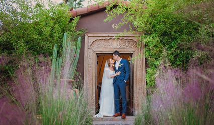 Debra Morrison Photography