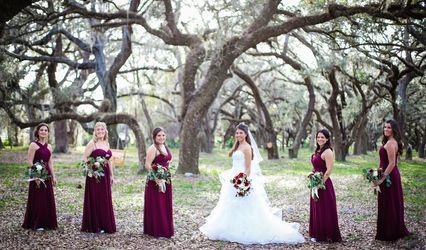 Wandering Oaks