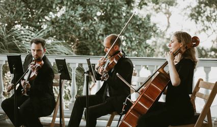 Midwest Harmony Strings