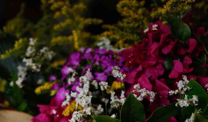 Fiori Floral Studio Flowers Charlottesville Va Weddingwire