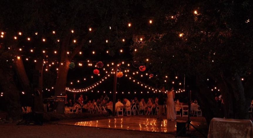 Weddings at Reptacular Animals Ranch in the Forest