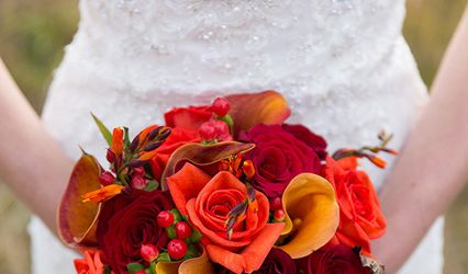 Elements Floral Design Ltd.